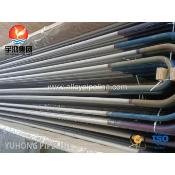 ASTM A213 TP317L U Bend Tube